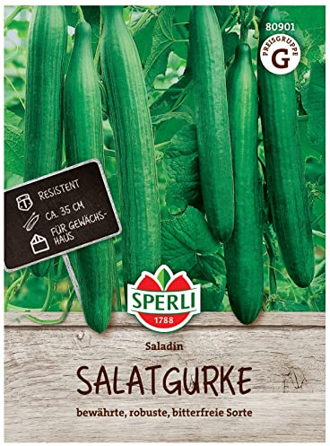 Sperli Salatgurkensamen Saladin, F1 80901 für 9 Pflanzen – Resistent, ideal für Gewächshaus, ca. 36 cm lange, bitterstofffreie Früchte, Gurkensamen für Anbau ab März