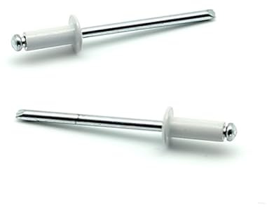 IERO - Rivetti a strappo Verniciati BIANCO RAL 9003 Alluminio/Acciaio Testa