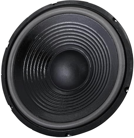 SHARD-LAB WOOFER 30 CM 8 Ohm 4 Ohm 12 31 CM 250W sospensione morbida 12 pollici ALTOPARLANTE RICAMBIO CASSE ACUSTICHE (Impedenza 8 Ohm)