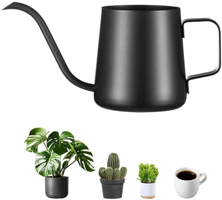 GIONAR Gießkanne Klein Zimmerpflanzen 350ml Edelstahl Langer Auslauf Giesskanne Gartengießkanne für Innen Wohnung Home Büro Sukkulenten, Schwarz