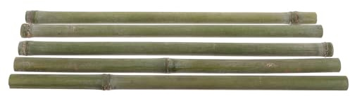TOYZFRIENDY Lot de 5 Treillis en Bambou Robuste, Supports pour Plantes Grimpantes D'extérieur, Tuteurs de Jardin 40 Cm Diamètre 1-2 Cm, pour Jardinières, Potager et Décoration de Fleur