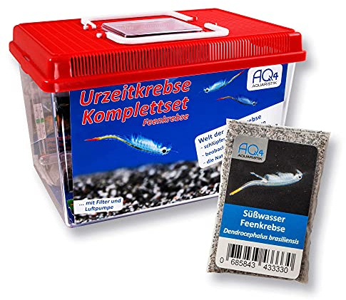 AQ4Aquaristik Feenkrebse Komplettset mit Urzeitkrebseiern: 6 l Aquarium, Filter, Luftpumpe, Zubehör, Zuchtansatz, Futter und Anleitung, Dendrocephalus brasiliensis