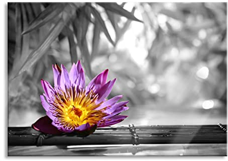 Pixxprint Glasbild, Wandbild aus Echtglas, zarte Seerose auf Bambus, 60x40 cm, inkl. Aufhängung und Abstandshalter