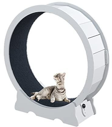 Laufband Mit Laufrad Für Katzen Mit Teppichlaufbahn, Großes Laufrad Aus Holz Für Katzen, Katzen-Trainingsgerät Mit Spinnrad Für Längere Lebensdauer,113x36x120cm