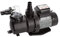 STEINBACH 040917 SPS 100-1T Pompe de Filtration Auto-amorçante avec minuteur