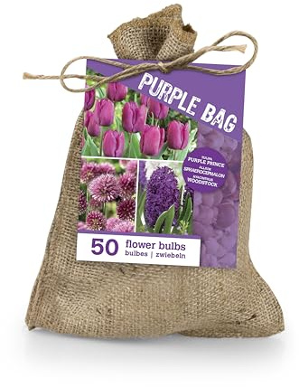 Bloomique - Mix di 50 - Le Sac Violet - Mix Violet - Tulipani, Giacinti, Allium - Bulbi da fiori - Fioritura primaverile - Perni