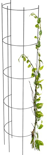 KADAX Colonne en Acier Treillis Tuteur Tuteur Colonne Plantes grimpantes Tour de Vigne Aide à L'escalade Grimpeur Grille Support de Plante Treillis métallique (H: 120cm)