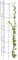 KADAX Colonne en Acier Treillis Tuteur Tuteur Colonne Plantes grimpantes Tour de Vigne Aide à L'escalade Grimpeur Grille Support de Plante Treillis métallique (H: 120cm)