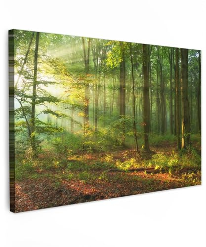 MuchoWow© Bild auf Leinwand Groß XXL Schlafzimmer Bilder Wand Deko | 120x80 cm - Wohnzimmer Modern Wanddeko Bilderwand Geschenk Sonne - Wald - Bäume - Natur - Herbst