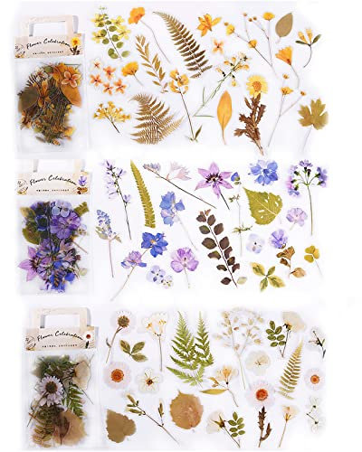DUGEGAYL 120 pezzi Fiori Secchi Stickers, Adesivi Scrapbooking Diario Stickers, Adesivi per Matrimoni a Forme di Fiori e Foglie, Adesivi Piante Fiore Foglie per Scrapbooking Fai da Te Creativi