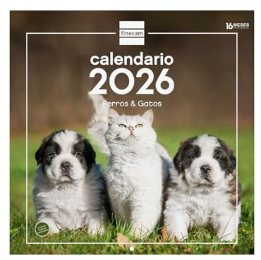 Finocam Wandkalender 2026, 30 x 30 cm, Monatsansicht Januar - Dezember 2026 + Sep. - Dezember 2025 (4 Monate), Kalender 2026, Bilder Hunde und Katzen - Spanisch