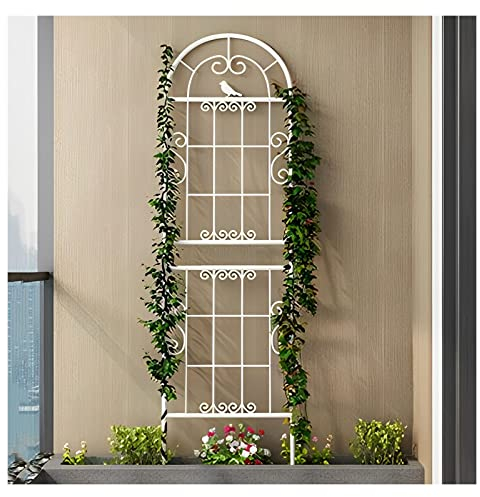 NOIRDA Gartenspalier Rankhilfe Gitter Metall Mit Verspielten Design, 185 cm, 210 cm, 230 cm Rankgitter Für Topfpflanzen, Balkon, Terrasse, Schwarz Weiß (Color : White, Size : 185cm/72.8in)