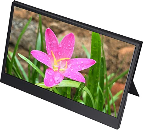 Zudoo Monitor Portátil para Juegos, HDR 1440P IPS Monitor Portátil de 13,3 Pulgadas para Viajes para PS4 (Enchufe de la UE)
