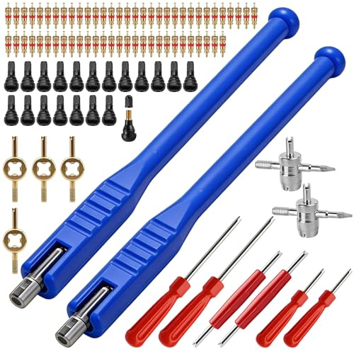Aicharynic 94 Stück TR412 Reifenventil Werkzeug Set, Ventileinsatzentferner Auto, Autoventil Schlüssel, Reifenventilentferner Ventil Reparatur, Ventilkern Entferner für Reifenreparatur und Wartung