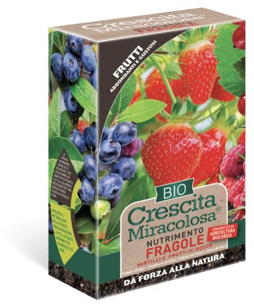 BLUMEN CONCIME GRANULARE PER FRAGOLE, MIRTILLI, FRUTTI DI BOSCO - CRESCITA MIRACOLOSA BIO 450G