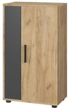 Vicco Kommode Berno, Goldkraft Eiche/Anthrazit, 50.1 x 87.3 cm | mit 2 Fächern, zur Aufbewahrung verschiedenster Gegenstände einsetzbar