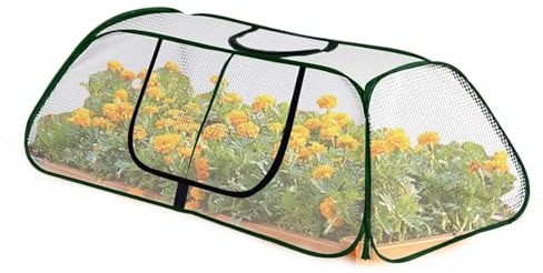 Palaufr Invernadero Pequeño | Protector Portátil con Puerta,114 x 55 Centímetros Carpas Aceleradoras De Flores - para Fruta Plántula Flor Jardinería Interior Exterior para Principiantes