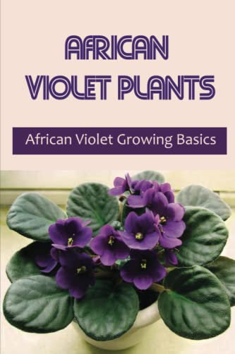 African Violet Plants: African Violet Growing Basics