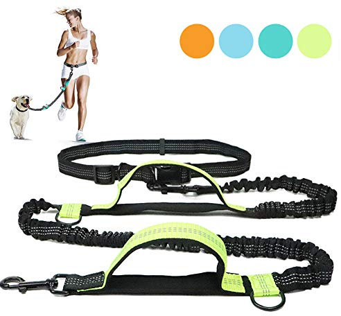 PJDDP Joggingleine Mit Bauchgurt Für Große Hunde, Hundeleine Elastische Verstellbare Freihandleine Mit Sport Laufgürtel, Leichtem Bauchgurt,Reflektierende Laufleine Mit 2 Weichen Schlaufen,Grün