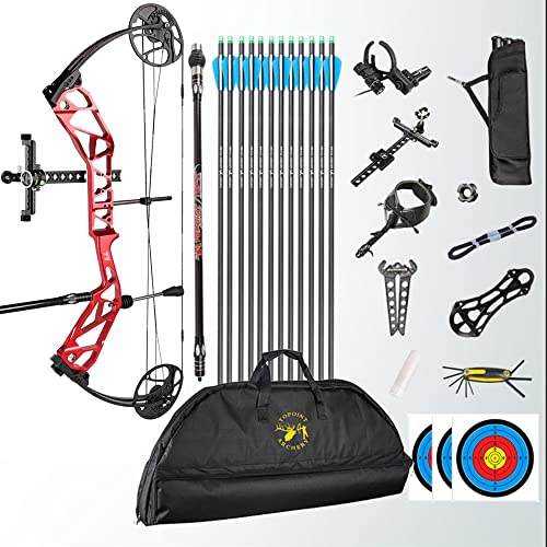 HNZMDY Bogenschießen Compound Bogen und Pfeil Kit 19-70Lbs Wettkampf Sport Jagdbogen 19-30 Auszugslänge 320fps Speed Compoundbögen mit Allem Zubehör für Erwachsene und Jugendliche