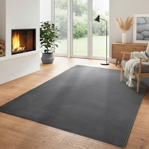 Einfarbiger Teppich Wohnizmmer, Esszimmer, Schlafzimmer, Küchenteppich Waschbar Teppich Grau Flauschig Kurzflor Carpet, Größe: 200 x 290 cm