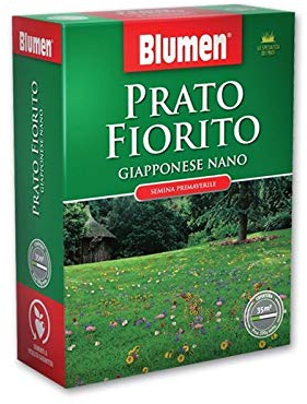 Blumen - Prato Fiorito Con Margherite 500 Gr