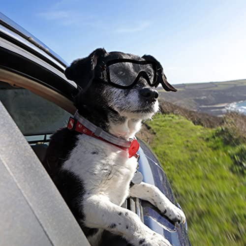 PETLESO Dog Goggles Large Eye Protection Dog Sunglasses for Middle/Large Dogs