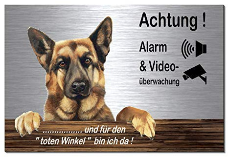 Schäferhund-Alarm + Videoüberwachung-Hund-Schild-Hundeschild-30 x 20 cm-Aluminium Edelstahloptik-Hunde-Tierschild-Warnschild-Hinweisschild (133-22 mit Löcher)