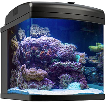 JBJ 24G Nano-Cube All-in-one Aquarium