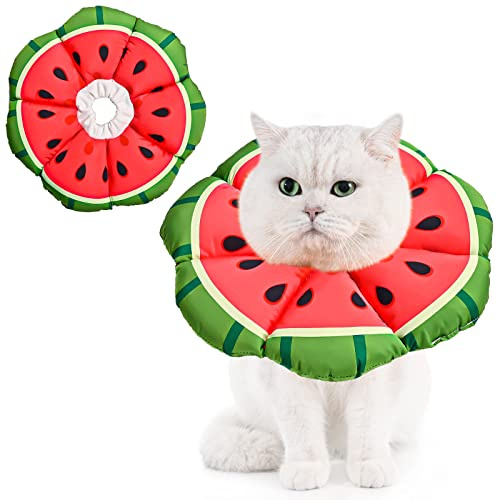Avont halsband för katt, justerbart mjukt halsband som skyddar mot kattslick från små hundar Efter operationen skyddshalsband - M- Watermelon