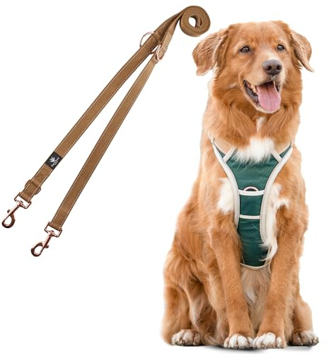 Dog & Dress Hundegeschirr & Hundeleine Set – Verstellbares, Gepolstertes & Reflektierendes Geschirr für Hunde – Atmungsaktives Hundezubehör für große & mittelgroße Hunde - Grün, L 71-86cm Brustumfang