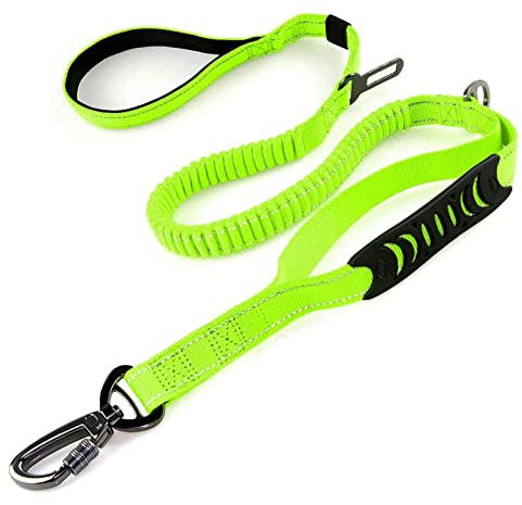 Heavy Duty Bungee Dog Leash with Locking Carabiner for Large Dogs