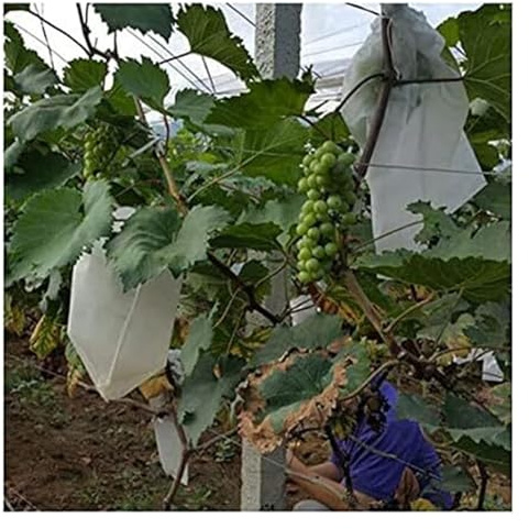 SFQEVHRZ Obst- und Gemüseschutztaschen， Landwirtschaftliche Schädlingsbekämpfung Anti-Vogel Mesh Taschen, Trauben Äpfel Obst Schutz Tasche, Garten Gemüse Beutel, 50 Teile/los