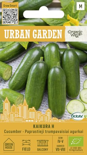 Organic Way | Concombres - KAIKURA H Graines de légumes | Mini-concombres | Hybride à peau lisse et goût croquant | Pour balcon, serre et plein air | 1 sachet