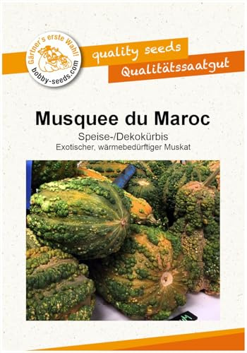 Musquee du Maroc Kürbissamen von Bobby-Seeds, Portion