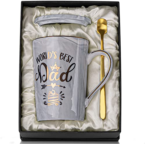 Christmas Birthday Gifts for Dad from Daughter Son - World's Best Dad - Daddy Mug with Gold Print, Funny Fathers Day Presents, 14Oz Grey Ceramic Gold Print Coffee Cup, Lid Spoon Card, Nice Gift Boxed
