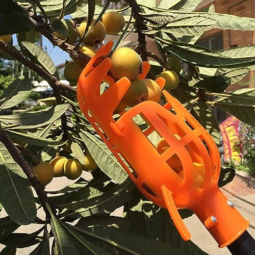 LekLai Obstpflücker-Kopfkorb, Obstpflücker Aus Kunststoff, Obstpflücker-Erntekorb, Apfelernte-Pflückwerkzeug, Garten-Obstfänger Für Obstgarten/Orange
