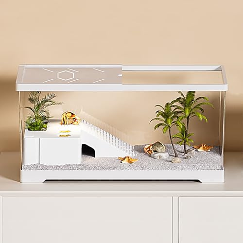 Aquarium de Tortue avec Plate-Forme de Bronzage et Drainage de Fond, réservoir de Tortue Aquatique de 20 x 9.5 x 9.5 pour Tortue juvénile, écrevisses, crabes, Amphibiens, Reptiles