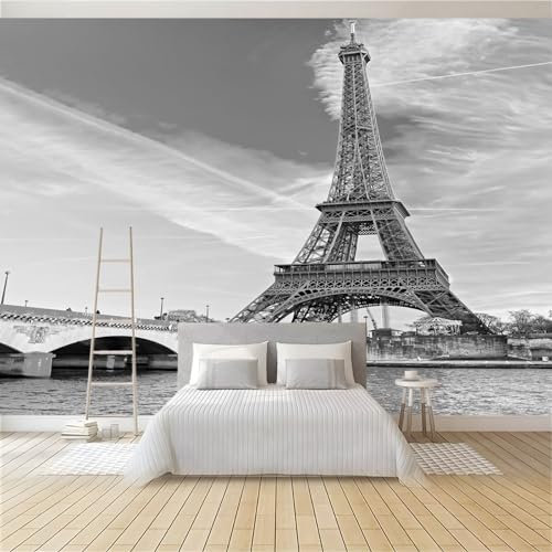 Papier Peint Intissé Gray Paris 350x256 cm Papier Peint Panoramique, Poster Mural Personnalisé 3D, Tapisserie Photo pour Salon Chambre Restaurant Décor Murale