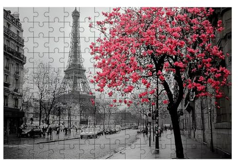Puzzle 1500 Teile Paris, Landschaft Puzzle 1500 Teile Erwachsene, Puzzel für Die Ganze Familie, Klassische Puzzles Geschicklichkeitsspiel, Holzpuzzle Geschenke für Frauen Geschenke für Männer -2133