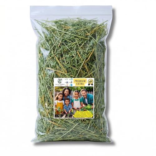 OLD TERRA NATURAL Erba medica a ramo Premium (6L) - 100% naturale per conigli, porcellini d'India e animali domestici, senza polvere, odore gradevole, ideale per l'alimentazione sana degli animali.