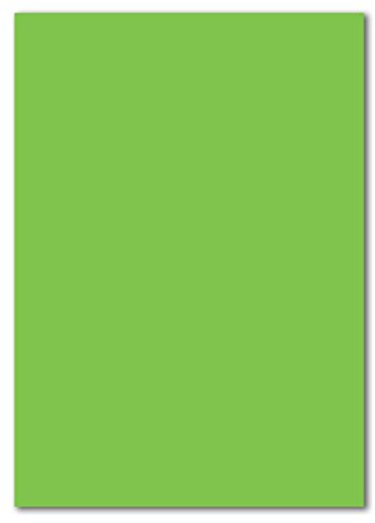 50 DIN A4 Papierbogen Planobogen - Hellgrün (Grün) - 160 g/m² - 21 x 29,7 cm - Bastelbogen Ton-Papier Fotokarton Bastel-Papier Ton-Karton - FarbenFroh