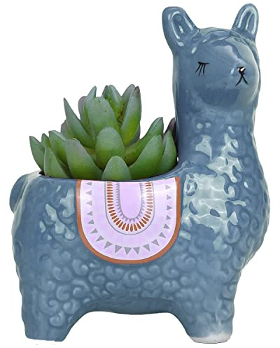 HOMSPE Bonitas macetas de alpaca para suculentas de 6 pulgadas, macetas decorativas de cerámica para jardines interiores y cactus, decoración colorida de oficina y hogar para sala de estar, cocina o