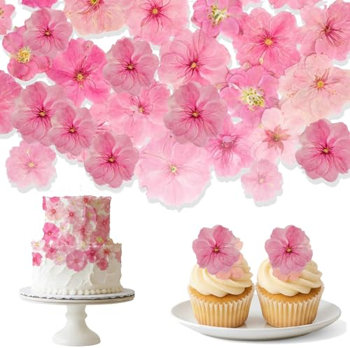 fKiZanthene Gepresste Kirschblüten Blumen Set 40 Stück natürliche Sakura Trockenblumen für DIY Basteln und dekorative Kuchen Deko für Torten Cupcakes Zuhause Events