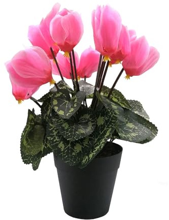 FloristryWarehouse Cespuglio di ciclamini artificiali in seta sintetica, in vaso, altezza 28 cm, rosa