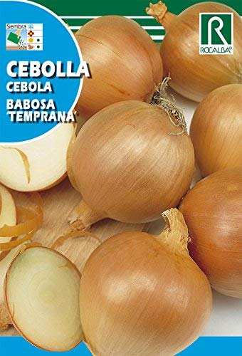 ROCALBA Semilla Cebolla Babosa 1unidad.