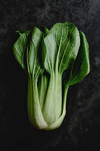 Pak Choi Plug Plants Grow Your Own Salad Plants (6)