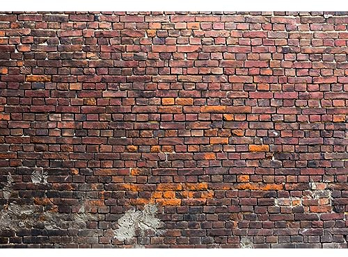 YongFoto 3x2,5m Vinyl Foto Hintergrund Ziegel Alt Dreckig Backstein Mauer Verwittert Fotografie Hintergrund für Fotoshooting Portraitfotos Fotografen Kinder Fotostudio Requisiten