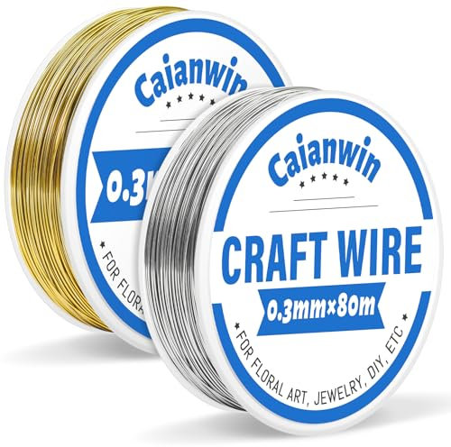 Caianwin 160m/2 Rolls Basteldraht Dünn 0.3mm Schmuck Draht Silber und Gold Blumendraht für Schmuck Herstellung Perlendraht, weicher Florist Draht, DIY Handwerksarbeit, Blumensträuße