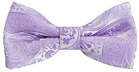Alizeal Boys Paisley Jacquard Pre-tied Bow Tie | Classic Retro Pattern, Kids Adjustable Bowtie, Birthday Party Wedding Match